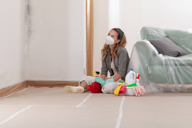 Reliable Mold Remediation contractor in Saint Cloud, FL by WQB Mold Removal